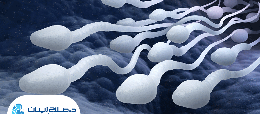 التفتيش الميكروسكوبي لعلاج صفر الحيونات المنويه
