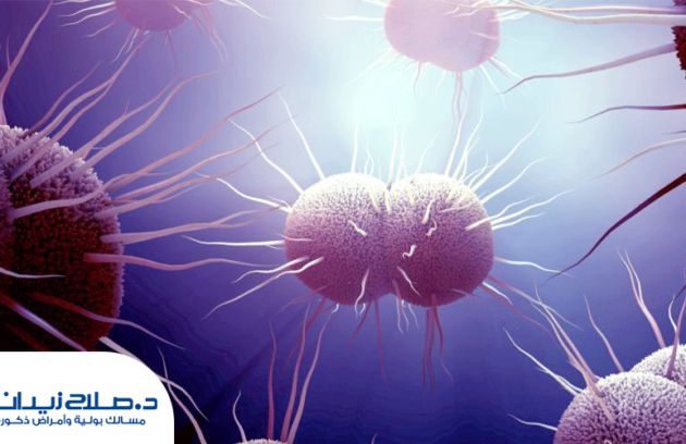 السيلان الأسباب والعلاج