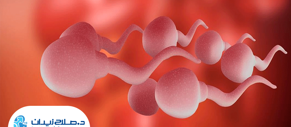 اسباب-وجود-دم-في-السائل-المنوي