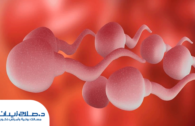 اسباب-وجود-دم-في-السائل-المنوي