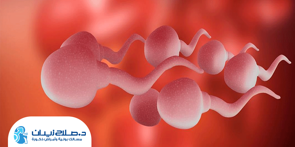اسباب-وجود-دم-في-السائل-المنوي