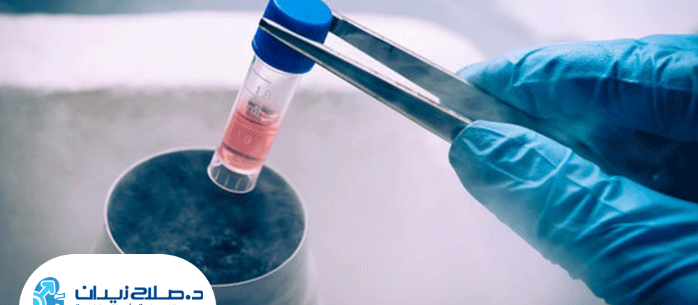 الخلايا الجذعية في علاج ضعف الانتصاب