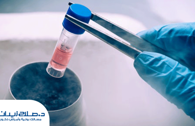 الخلايا الجذعية في علاج ضعف الانتصاب