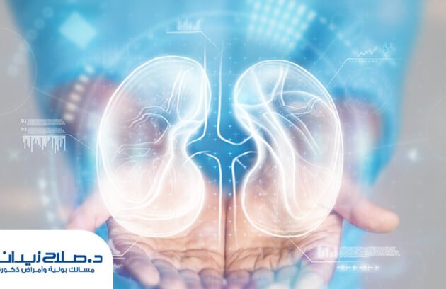 نسبة الشفاء من سرطان الكلى