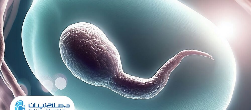 ما هي أسباب انخفاض عدد الحيوانات المنوية؟