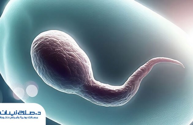 ما هي أسباب انخفاض عدد الحيوانات المنوية؟