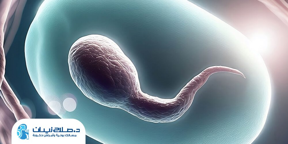 ما هي أسباب انخفاض عدد الحيوانات المنوية؟