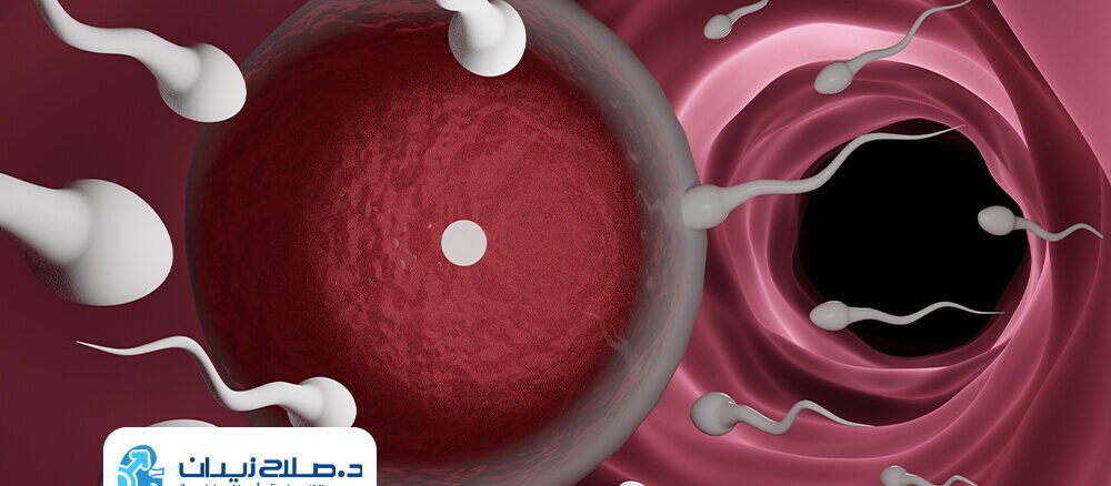 ما هي أسباب وجود دم بالسائل المنوي