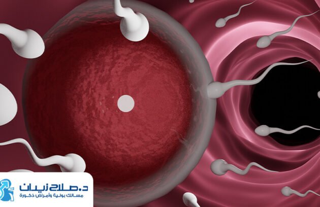 ما هي أسباب وجود دم بالسائل المنوي